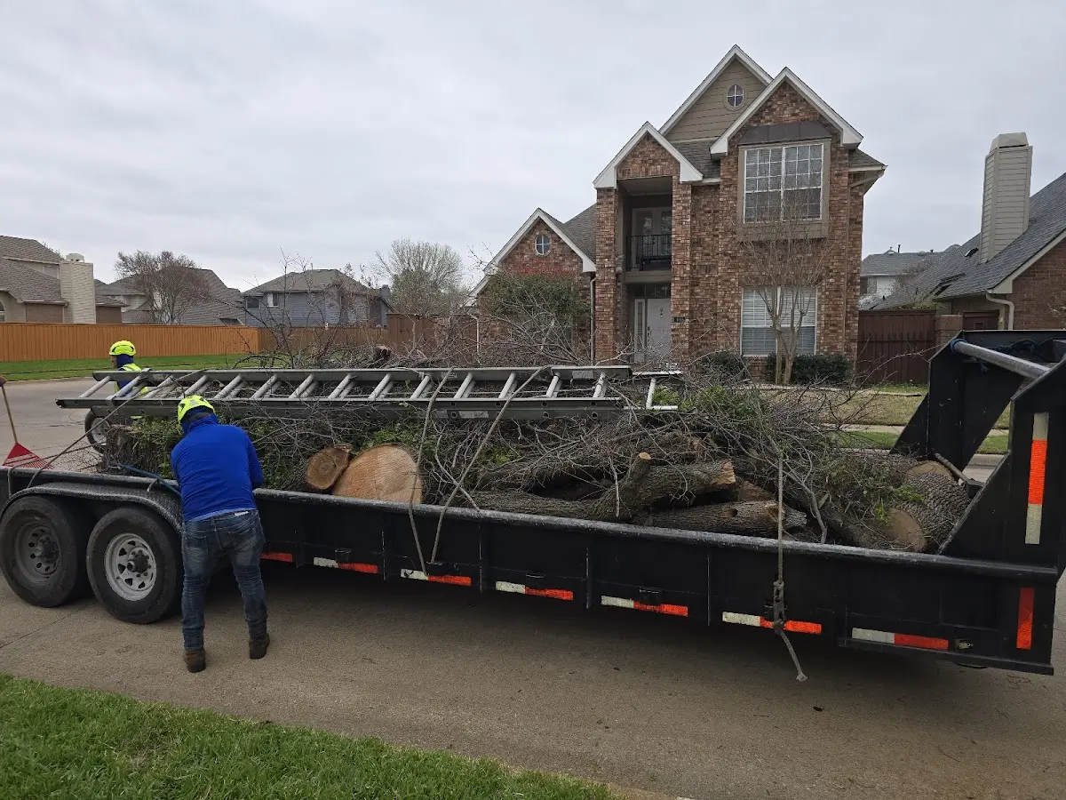 Expert Tree Fertilization with proper safety equipment in Franklin Lakes